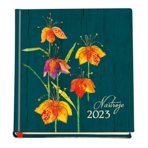 2024 Kalendarz MiP Nastroje